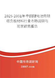 2025-2031年中国锂电池用硅碳负极材料行业市场调研与前景趋势报告