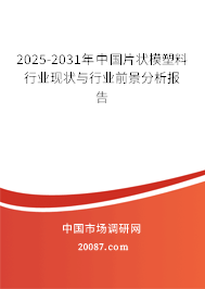 2025-2031年中国片状模塑料行业现状与行业前景分析报告