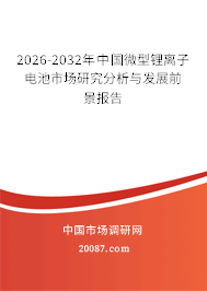 2026-2032年中国微型锂离子电池市场研究分析与发展前景报告