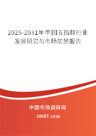 2025-2031年中国五指鞋行业发展研究与市场前景报告 2025-2031年中国五指鞋行业发展研究与市场前景报告