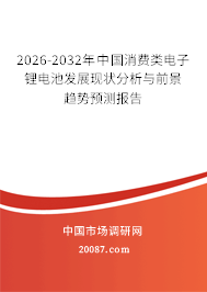 2026-2032年中国消费类电子锂电池发展现状分析与前景趋势预测报告