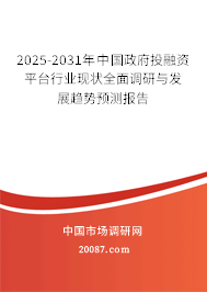 2025-2031年中国政府投融资平台行业现状全面调研与发展趋势预测报告