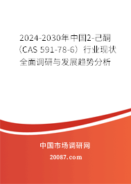 2024-2030年中国2-己酮（CAS 591-78-6）行业现状全面调研与发展趋势分析
