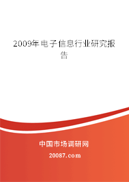 2009年电子信息行业研究报告