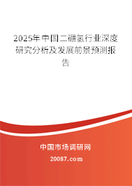 2025年中国二硼氢行业深度研究分析及发展前景预测报告