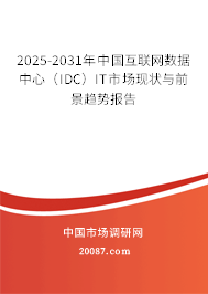 2025-2031年中国互联网数据中心（IDC）IT市场现状与前景趋势报告