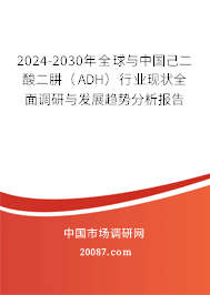 2024-2030年全球与中国己二酸二肼（ADH）行业现状全面调研与发展趋势分析报告