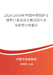 2024-2030年中国甲磺酸伊马替尼行业发展全面调研与未来趋势分析报告