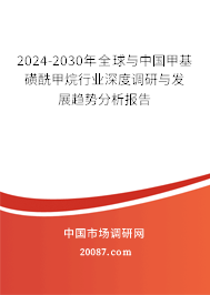 2024-2030年全球与中国甲基磺酰甲烷行业深度调研与发展趋势分析报告