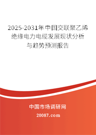 2025-2031年中国交联聚乙烯绝缘电力电缆发展现状分析与趋势预测报告 2025-2031年中国交联聚乙烯绝缘电力电缆发展现状分析与趋势预测报告