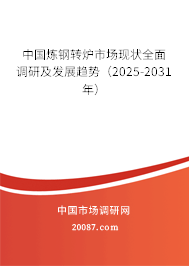 中国炼钢转炉市场现状全面调研及发展趋势(2025-2031年) 中国炼钢转炉市场现状全面调研及发展趋势(2025-2031年)