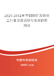 2025-2031年中国磷矿及磷化工行业深度调研与发展趋势预测