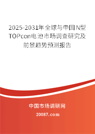 2025-2031年全球与中国N型TOPcon电池市场调查研究及前景趋势预测报告
