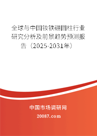 全球与中国钕铁硼圆柱行业研究分析及前景趋势预测报告（2025-2031年）