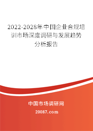2022-2028年中国企业合规培训市场深度调研与发展趋势分析报告