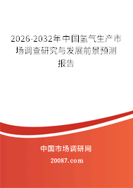 2026-2032年中国氢气生产市场调查研究与发展前景预测报告