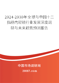 2024-2030年全球与中国十二指肠内窥镜行业发展深度调研与未来趋势预测报告