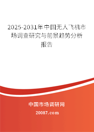 2024-2030年中国无人飞机市场调查研究与前景趋势分析报告