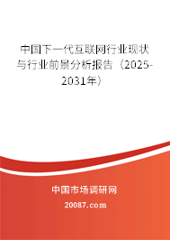 中国下一代互联网行业现状与行业前景分析报告（2025-2031年）