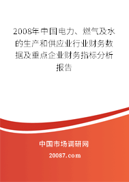 2008年中国电力、燃气及水的生产和供应业行业财务数据及重点企业财务指标分析报告