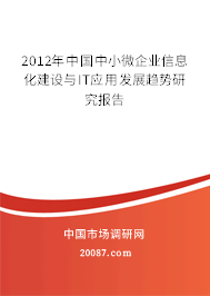 2012年中国中小微企业信息化建设与IT应用发展趋势研究报告