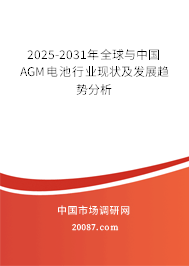 2025-2031年全球与中国AGM电池行业现状及发展趋势分析