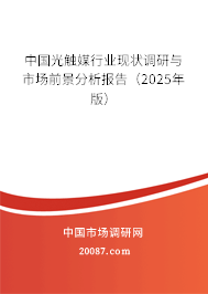中国光触媒行业现状调研与市场前景分析报告（2025年版）