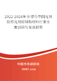 2022-2028年全球与中国光刻胶和光刻胶辅助材料行业全面调研与发展趋势