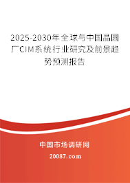 2025-2030年全球与中国晶圆厂CIM系统行业研究及前景趋势预测报告