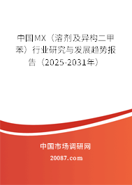 中国MX（溶剂及异构二甲苯）行业研究与发展趋势报告（2025-2031年）