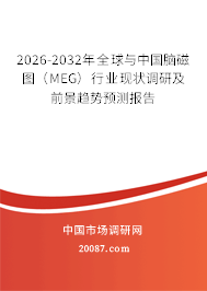2026-2032年全球与中国脑磁图（MEG）行业现状调研及前景趋势预测报告