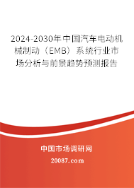 2024-2030年中国汽车电动机械制动（EMB）系统行业市场分析与前景趋势预测报告