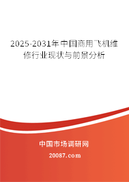 2025-2031年中国商用飞机维修行业现状与前景分析