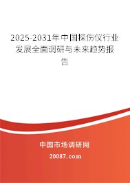 2025-2031年中国探伤仪行业发展全面调研与未来趋势报告