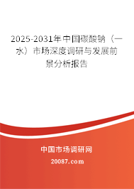 2025-2031年中国碳酸钠（一水）市场深度调研与发展前景分析报告