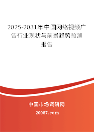 2025-2031年中国网络视频广告行业现状与前景趋势预测报告