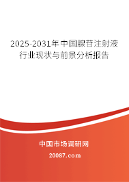 2025-2031年中国腺苷注射液行业现状与前景分析报告 2025-2031年中国腺苷注射液行业现状与前景分析报告