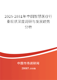 2025-2031年中国智慧医疗行业现状深度调研与发展趋势分析