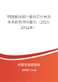 中国重烧镁行业研究分析及未来趋势预测报告(2024-2030年) 中国重烧镁行业研究分析及未来趋势预测报告(2024-2030年)