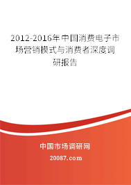 2012-2016年中国消费电子市场营销模式与消费者深度调研报告