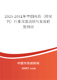 2025-2031年中国电石（碳化钙）行业深度调研与发展趋势预测