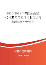 2025-2031年中国多晶型NCM三元前驱体行业现状与市场前景分析报告