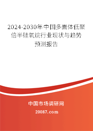 2024-2030年中国多面体低聚倍半硅氧烷行业现状与趋势预测报告