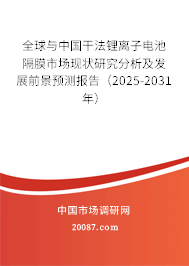 全球与中国干法锂离子电池隔膜市场现状研究分析及发展前景预测报告（2025-2031年）