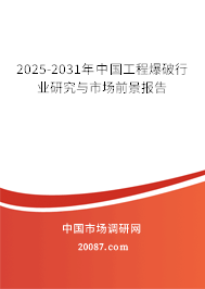 2025-2031年中国工程爆破行业研究与市场前景报告