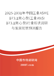 2025-2031年中国工业ASME B73.1离心泵(工业ANSI B73.1离心泵)行业现状调研与发展前景预测报告