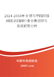 2024-2030年全球与中国焊接阀盖止回阀行业全面调研与发展趋势分析