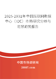 2025-2031年中国互联网数据中心(IDC)市场研究分析与前景趋势报告 2025-2031年中国互联网数据中心(IDC)市场研究分析与前景趋势报告
