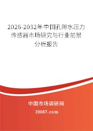 2026-2032年中国孔隙水压力传感器市场研究与行业前景分析报告