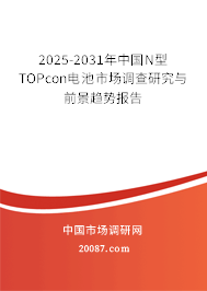 2025-2031年中国N型TOPcon电池市场调查研究与前景趋势报告